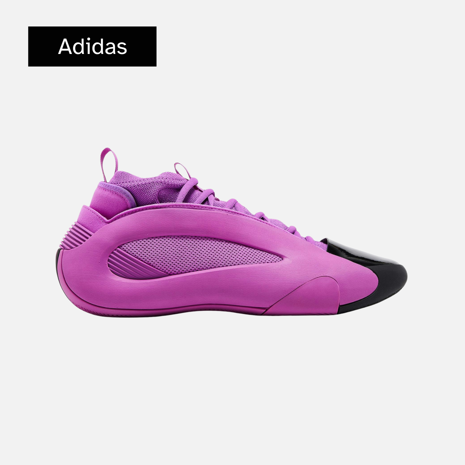 Harden Vol. 8 'Purple Burst'