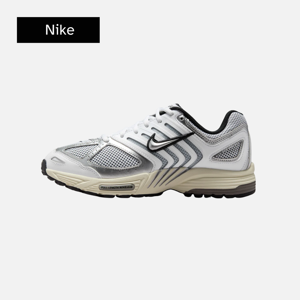 Wmns Air Pegasus 2K5 'White Black Metallic Silver'