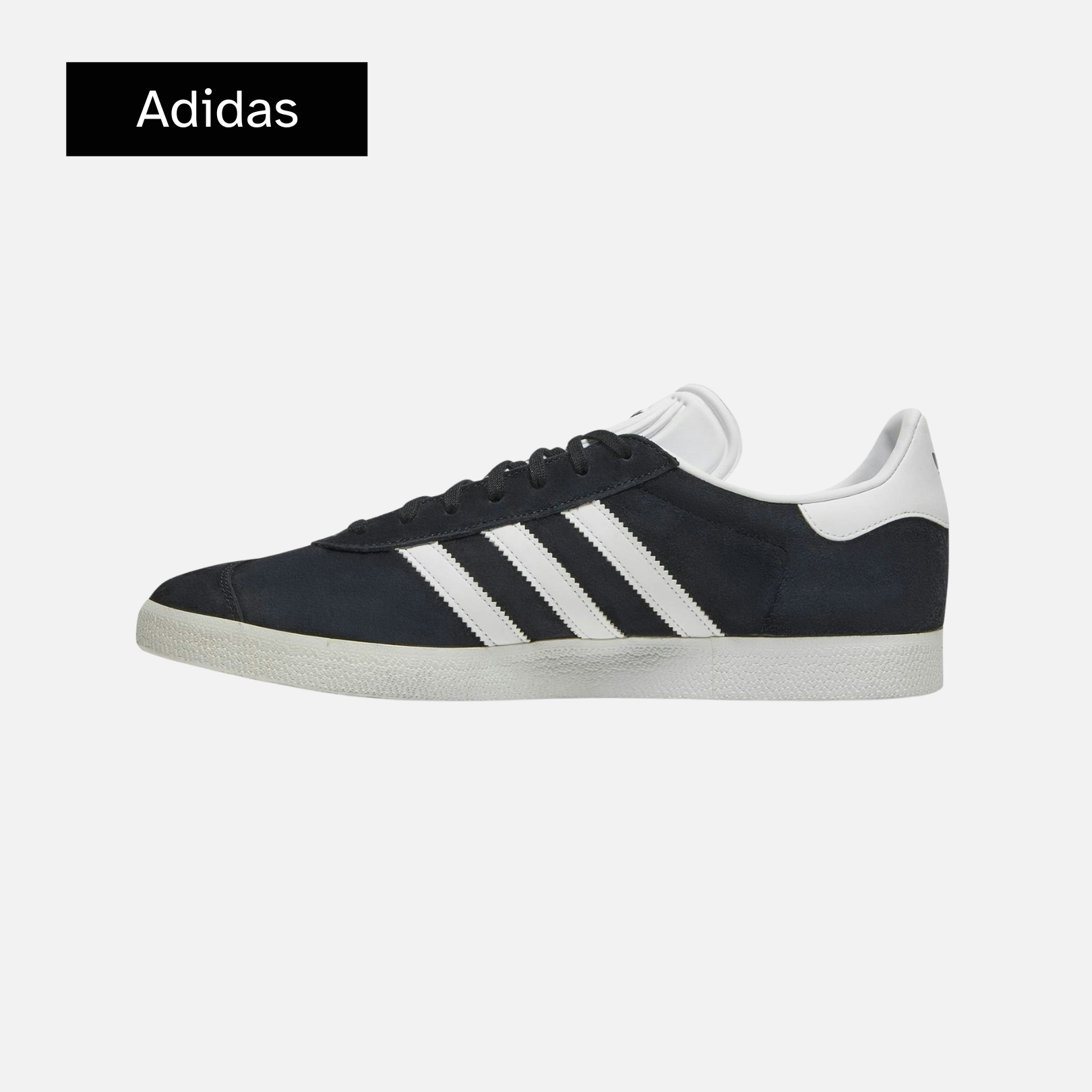 Gazelle 'Black'