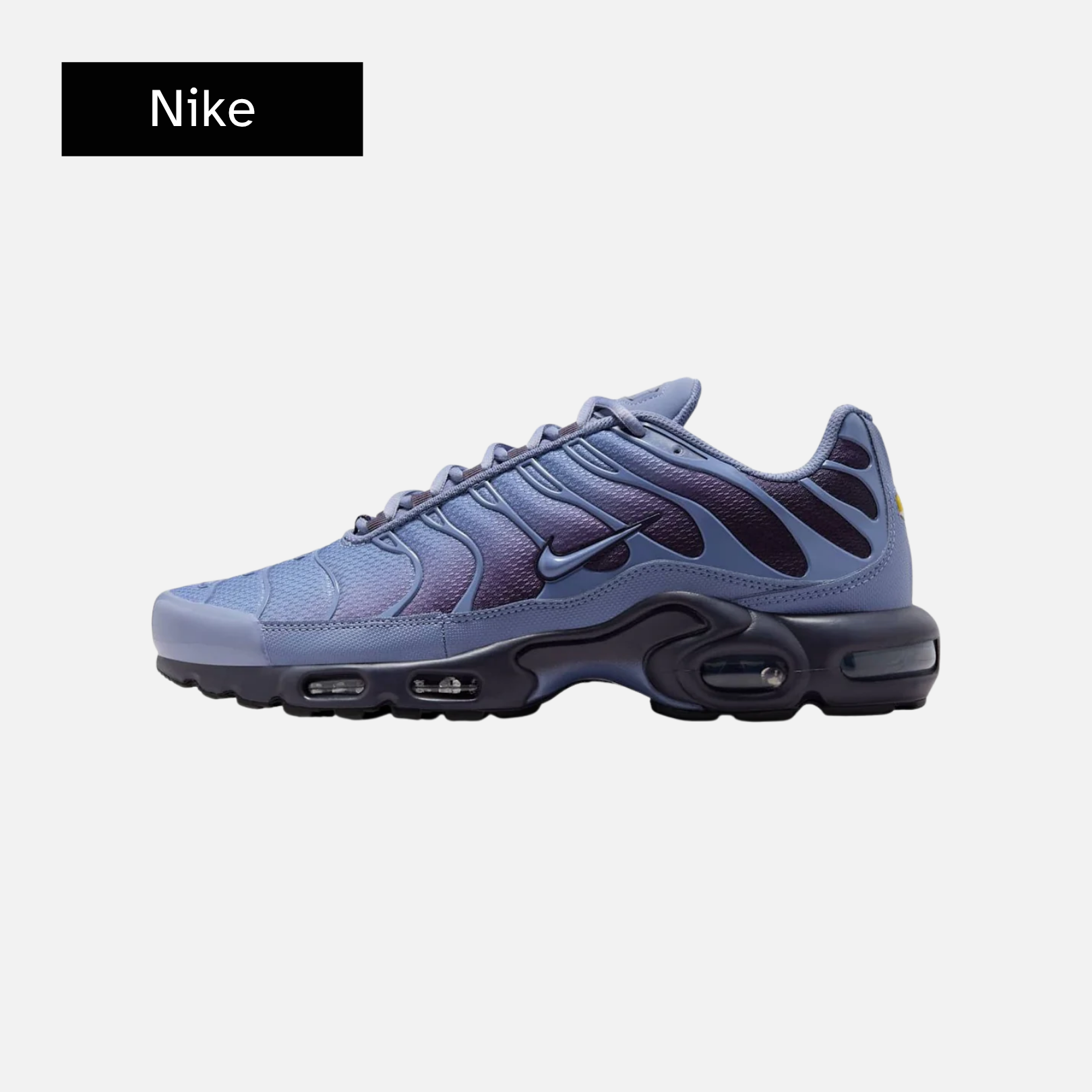 Air Max Plus 'World Indigo'