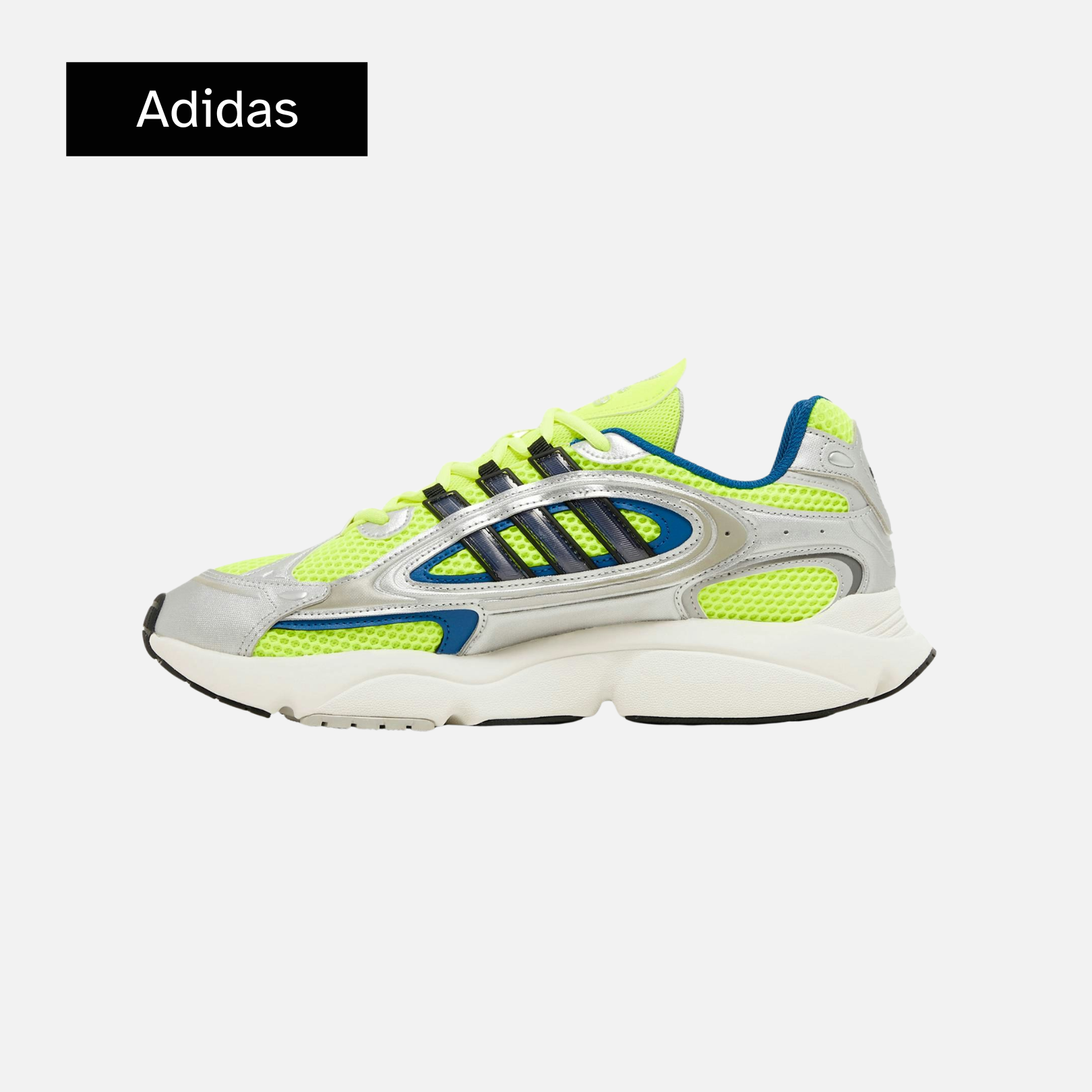 Ozmillen 'Silver Solar Yellow'