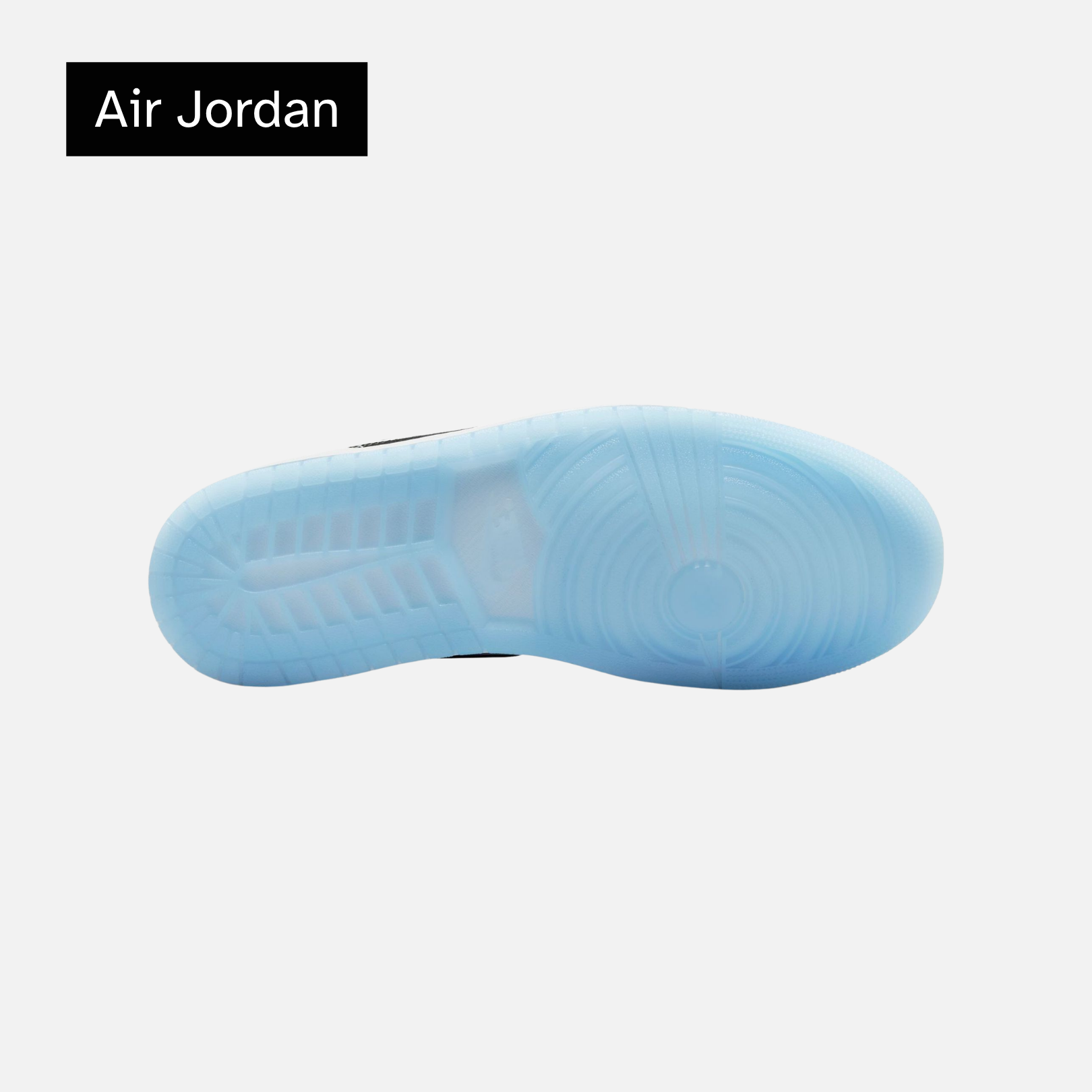 Air Jordan 1 Low SE 'Concord'