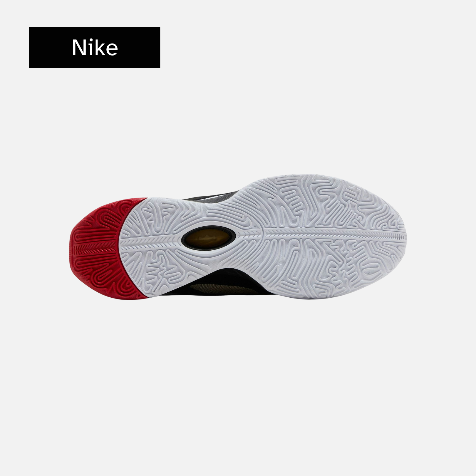 LeBron 21 EP 'Prime 93'