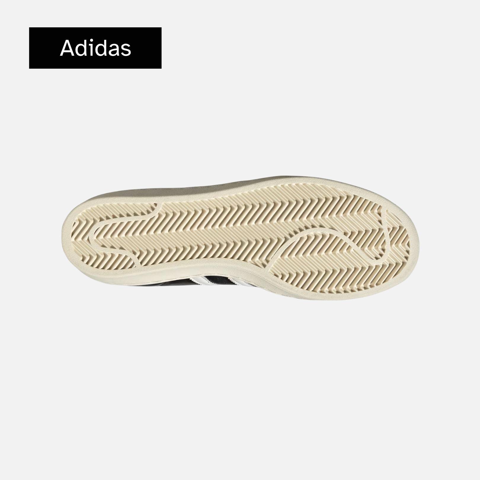 Foot Locker x Superstar '50th Anniversary'