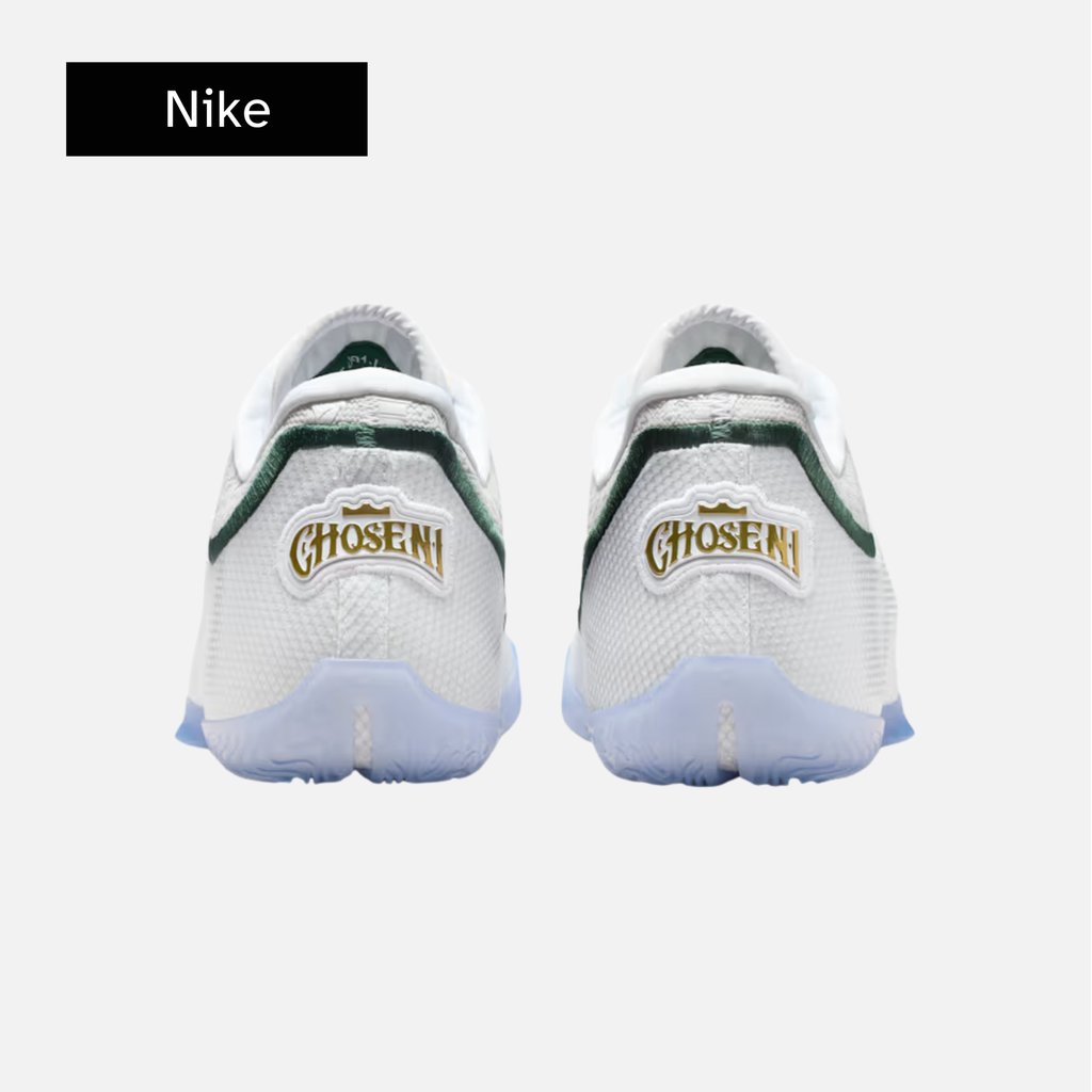 Lebron 23 'From This Point Forward'