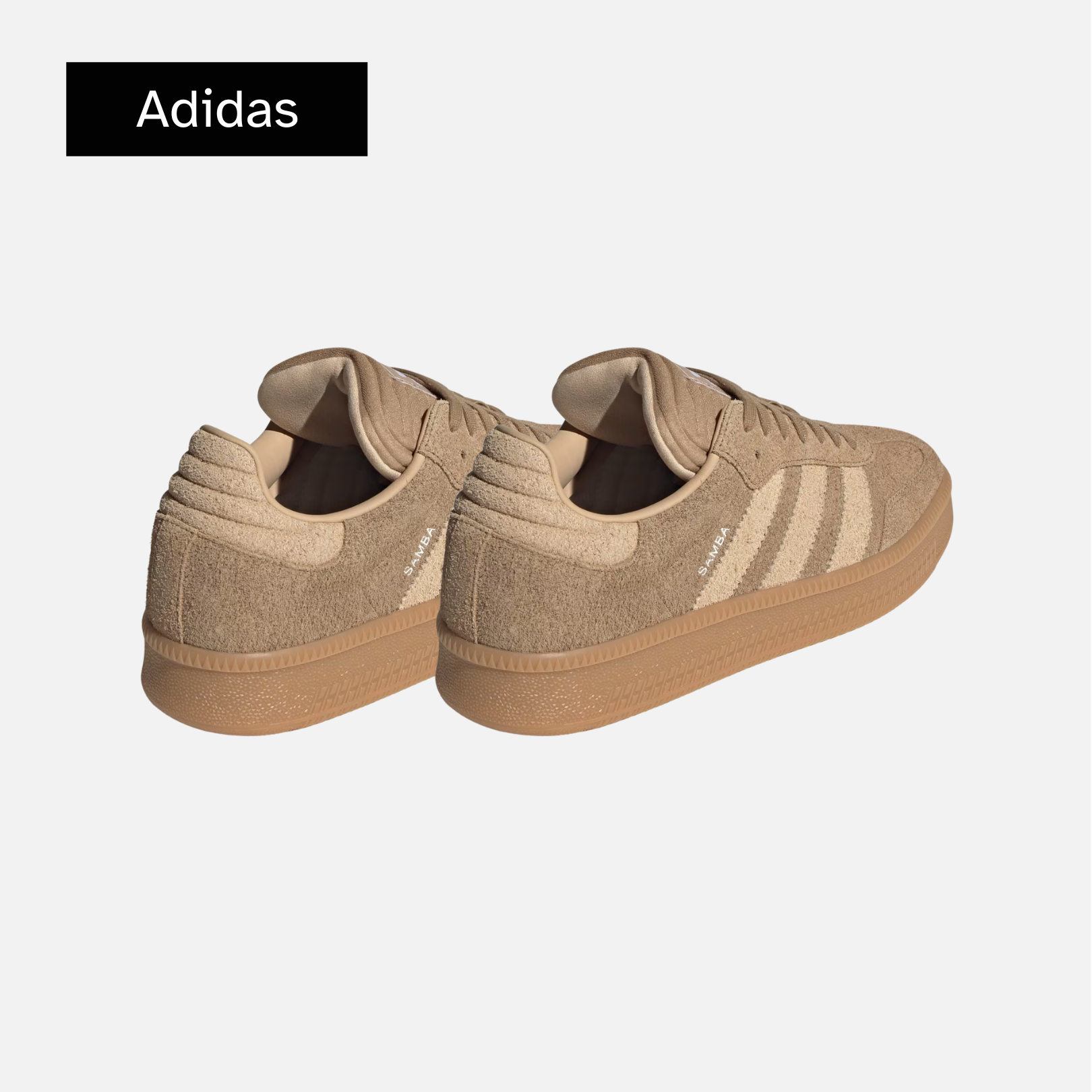 Samba XLG 'Cardboard'