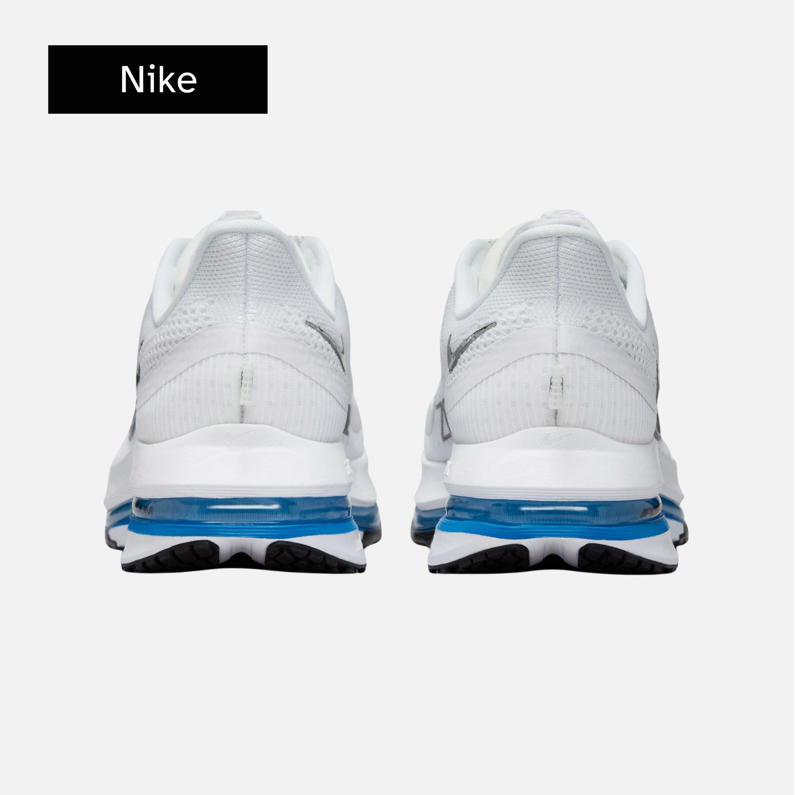 Pegasus Premium 'White Photo Blue'