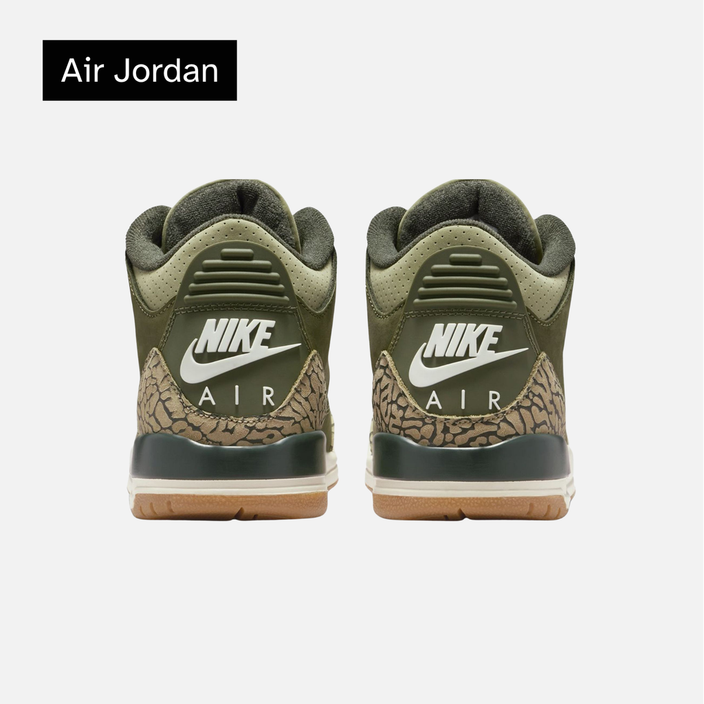 Air Jordan 3 Retro GS 'Family Affair'