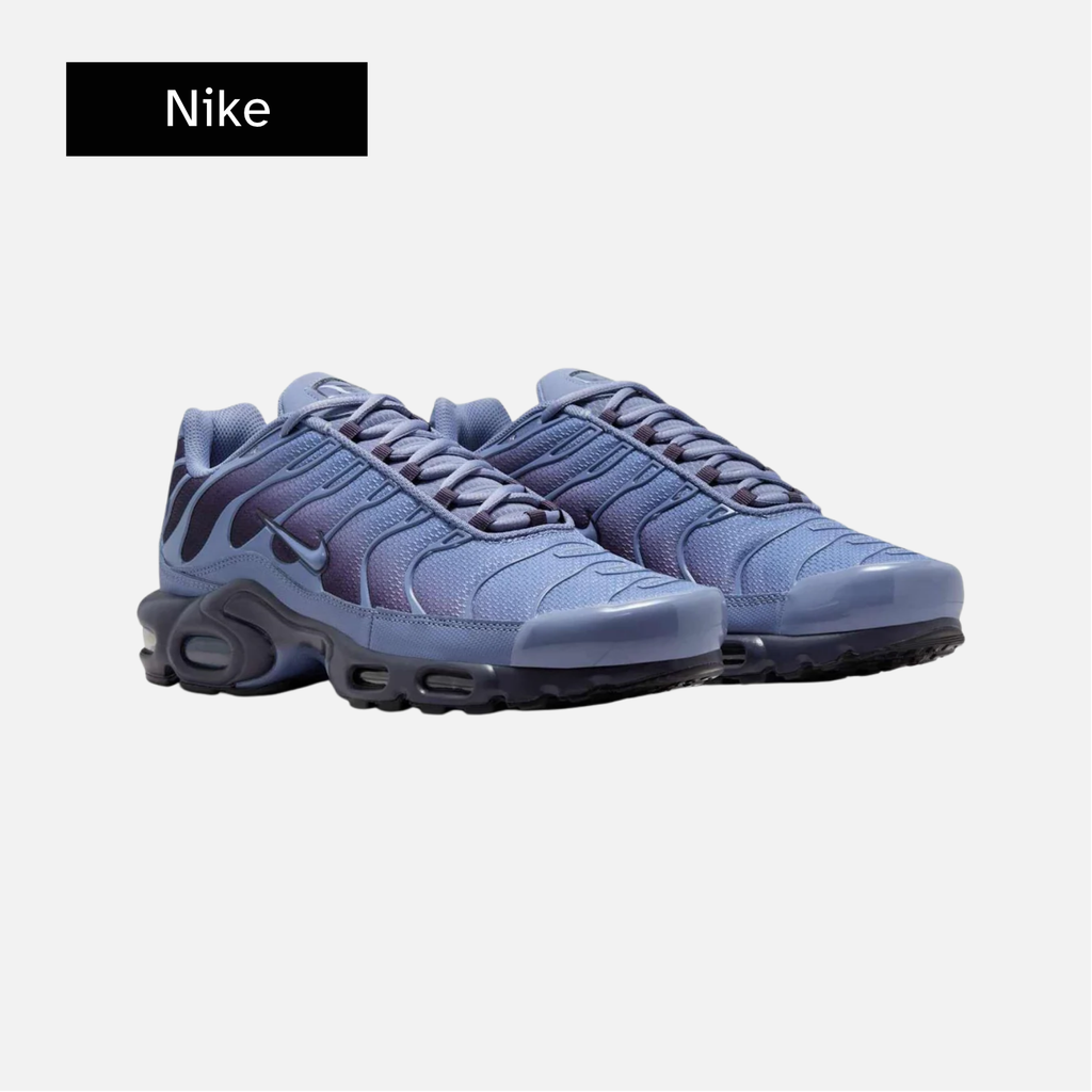 Air Max Plus 'World Indigo'