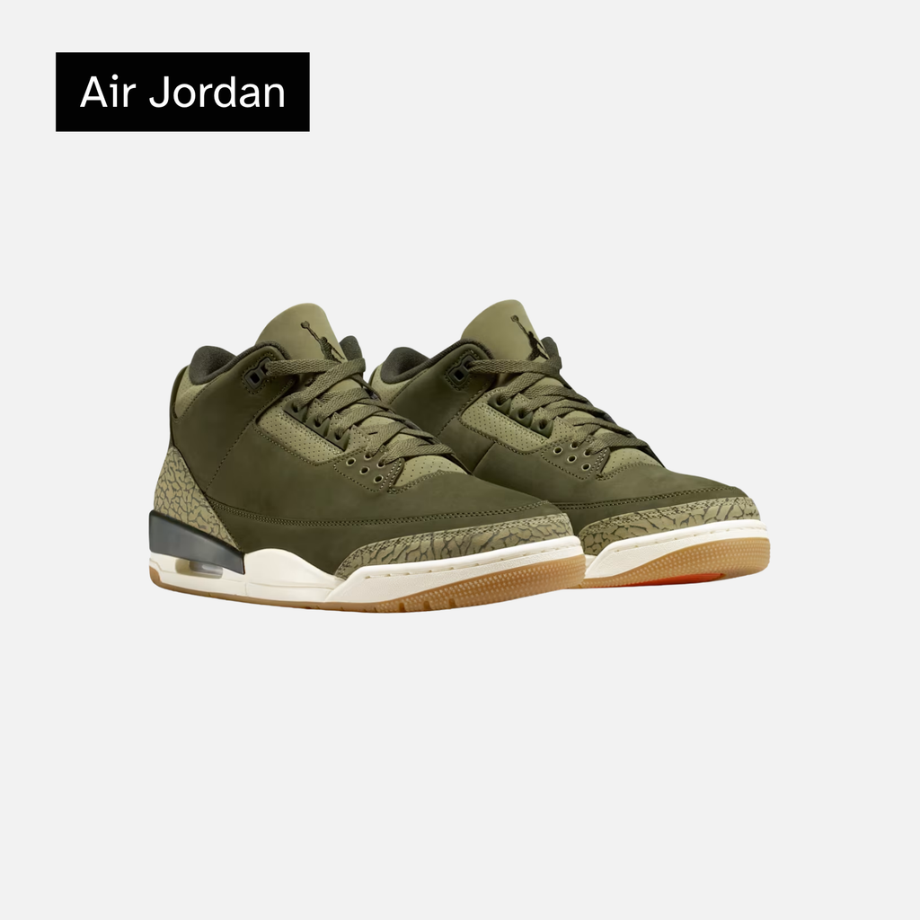 Air Jordan 3 Retro 'Family Affair'