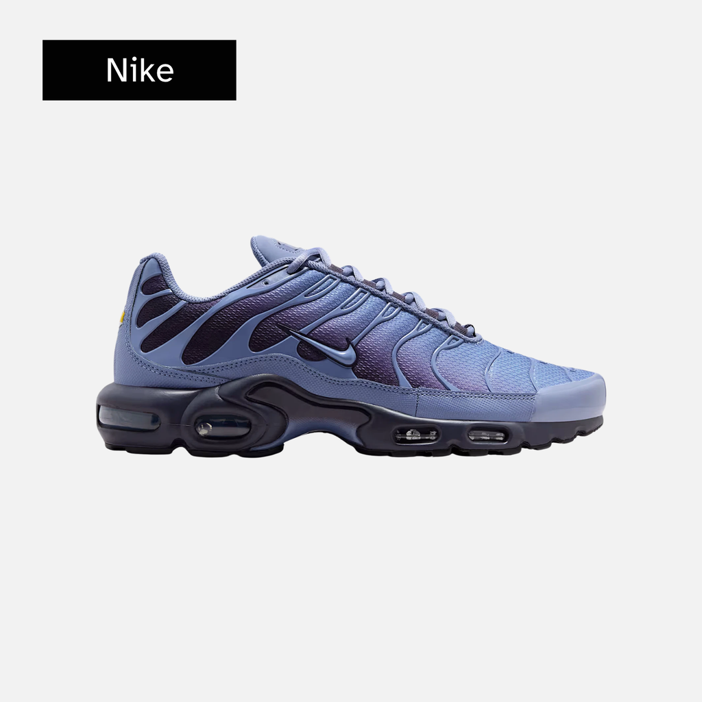 Air Max Plus 'World Indigo'
