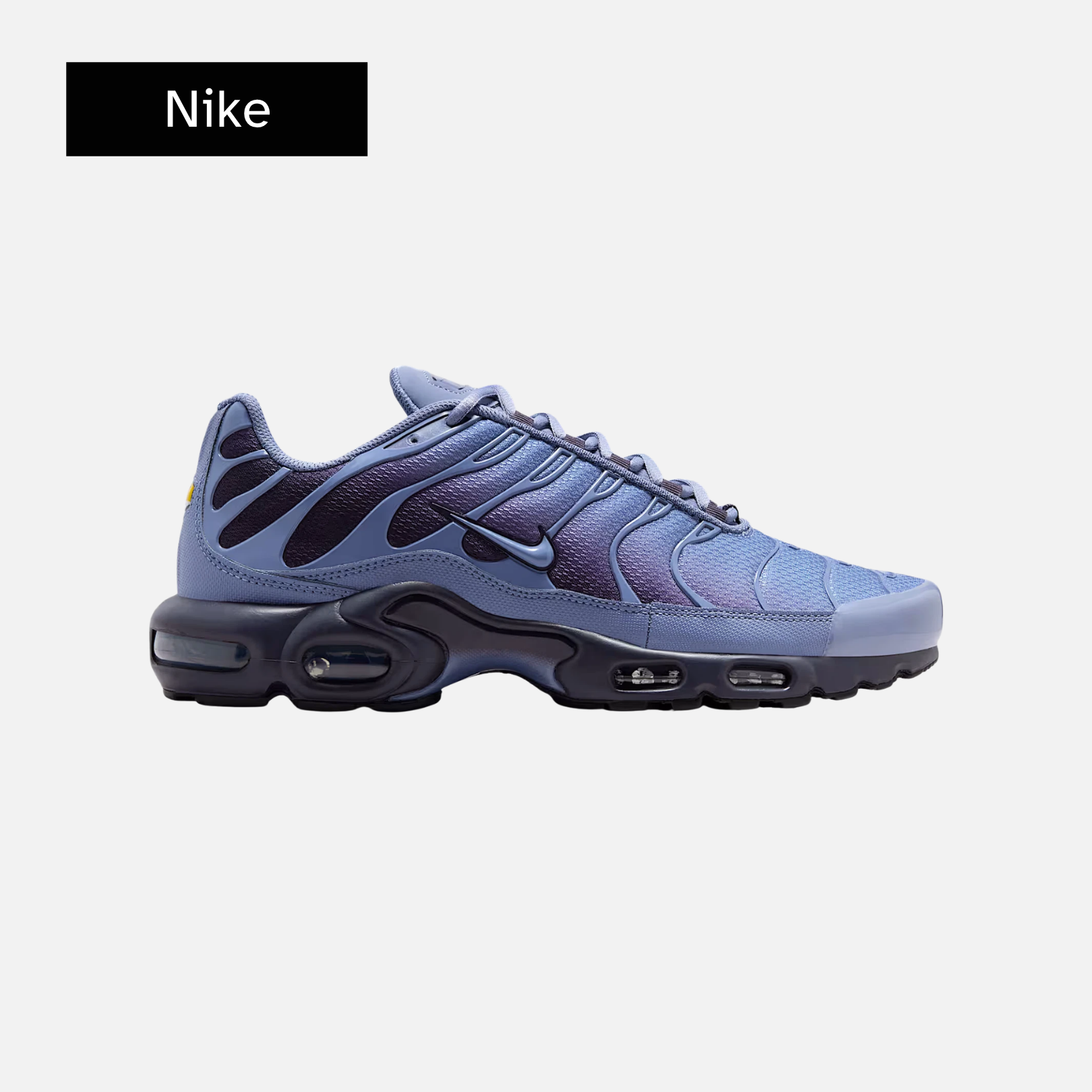 Air Max Plus 'World Indigo'